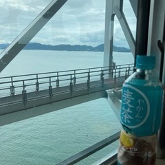関西の旅行友達(サークルではありません)
