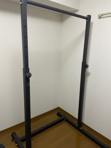 ぶら下がり健康器、チンニング