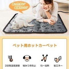 【新品未使用】即納 ペット ホットカーペット ペット用ホットカーペット ペットヒーター 2枚カバー 猫 ホットマット 犬 ホットカーペット ペット用 ヒーター ペットベッド 冬 日本語取扱説明書 噛みつき防止 犬 電気毛布 暖房器具 45x45cm の画像