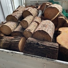 伐採木や放置してる木を譲ってほしいです。 - 千葉市