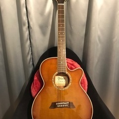 超激安！超美品！早い者勝ち！世界のタカミネ　TSP138C