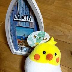 【引取先決定】写真たてとオカメインコぬいぐるみストラップ