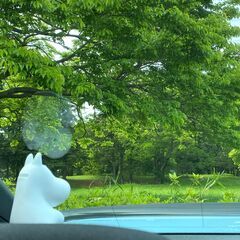 🎓別れと🌸出会いの季節