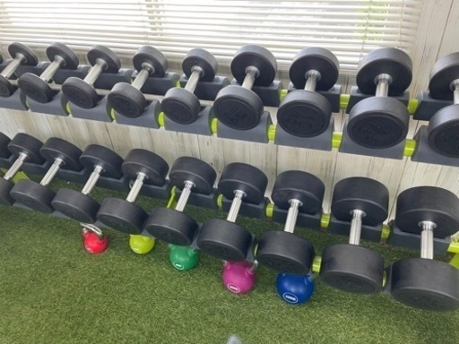 １月１６日まで引き取り限定