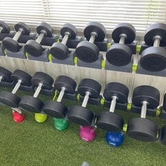 １月１６日まで引き取り限定