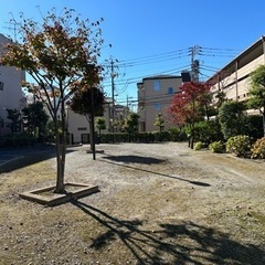 植栽・植木剪定草むしり承ります。