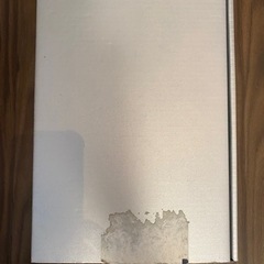 vent ouestペアビアグラス　未使用の画像