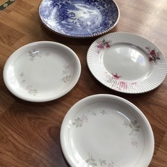 平皿4枚セット