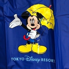 超美品✨TDLレインポンチョ大人用Ⓜ️の画像