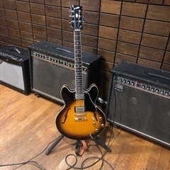 ギター、ウクレレ、スクールです。の画像