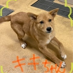 岡山市保健所★クリスマスには暖かい家族ができますように