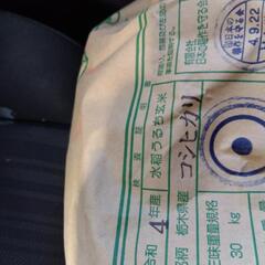 新米🍚（Kome）