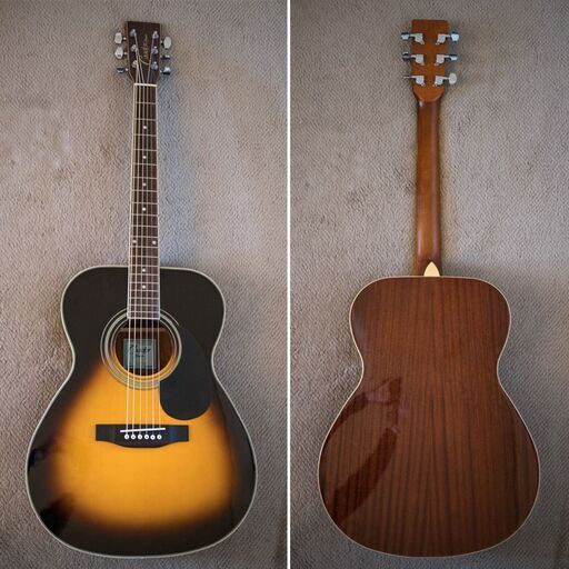 Takamine CF-1　新品ソフトケース