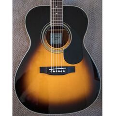 Takamine CF-1　新品ソフトケースの画像