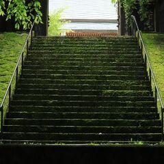 何か目標をお持ちの方🌟