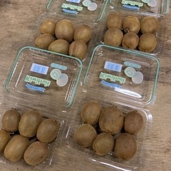 【在庫切れ】☆和歌山県産キウイフルーツ小玉〜1パック【食べ頃・未完熟混】☆③の画像