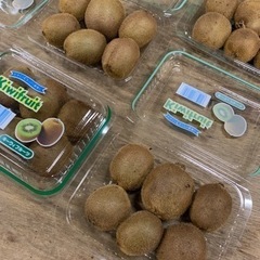 【在庫切れ】☆和歌山県産キウイフルーツ小玉〜1パック【食べ頃・未完熟混】☆③の画像