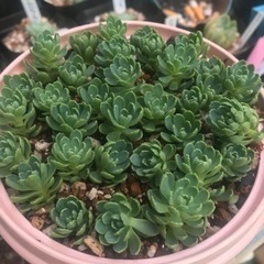 同性同年代のお友達募集