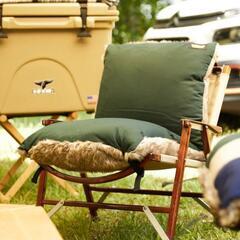 VAN LIFE SUPPLY フォールディングチェア ソファク...