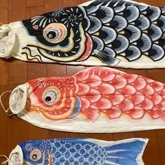 鯉のぼり