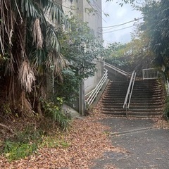 シングルマザー支援　家電譲って下さい　妊婦