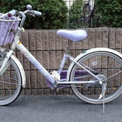 子供用自転車ブリジストンECOPAL20インチ