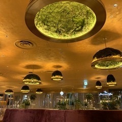 カフェ巡りしに行きませんか☕️ - 渋谷区