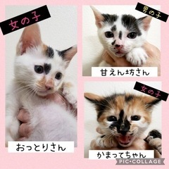 たくさんのお問い合わせありがとうございました！♡