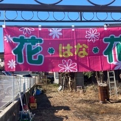 出展者募集　土日開催します。騎西中央公園近く