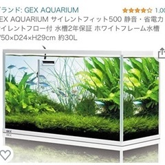 GEXガラス水槽 飼育セット