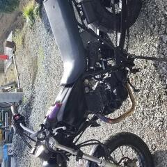 TW225の画像
