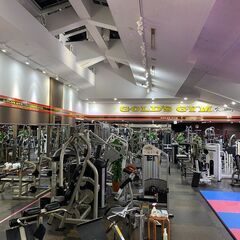 ゴールドジム本川越埼玉の画像