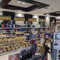 ゴールドジム本川越埼玉の画像