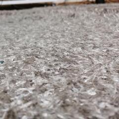 ニトリ　ラグの画像