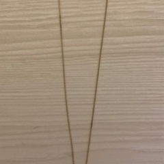 （オマケ用33）小粒のネックレス