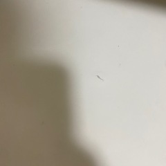 ニトリの椅子の画像