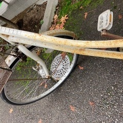 決まりました　普通の自転車　の画像