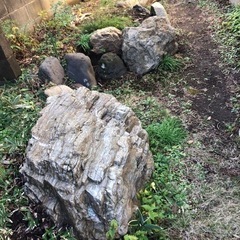 庭の石