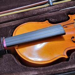 ステンター バイオリン1/2
STENTOR  Student Standardの画像