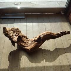 アクアリウム流木の画像