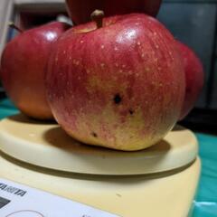 青森県産　ふじ　リンゴ　訳アリ　密あり③