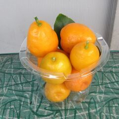 （J-157)　金柑1カップ*引取り限定(加古川市　鶴林寺前）