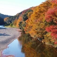 【貸地】嵐山町平澤　◎駐車場◎資材置場◎使用用途相談可♪ − 埼玉県