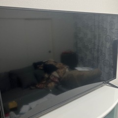 決まりました！ドンキ・ホーテ　テレビ　50v