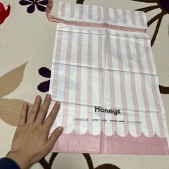 honeysのプレゼント袋の画像
