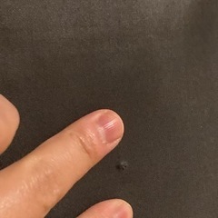 スノコ　簀　シングルベッドの画像