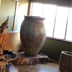 水瓶
