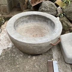 睡蓮鉢
