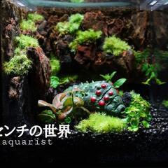ジブリウム  王蟲  テラリウム  パルダリウム コケリウムの画像