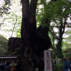 温泉仲間